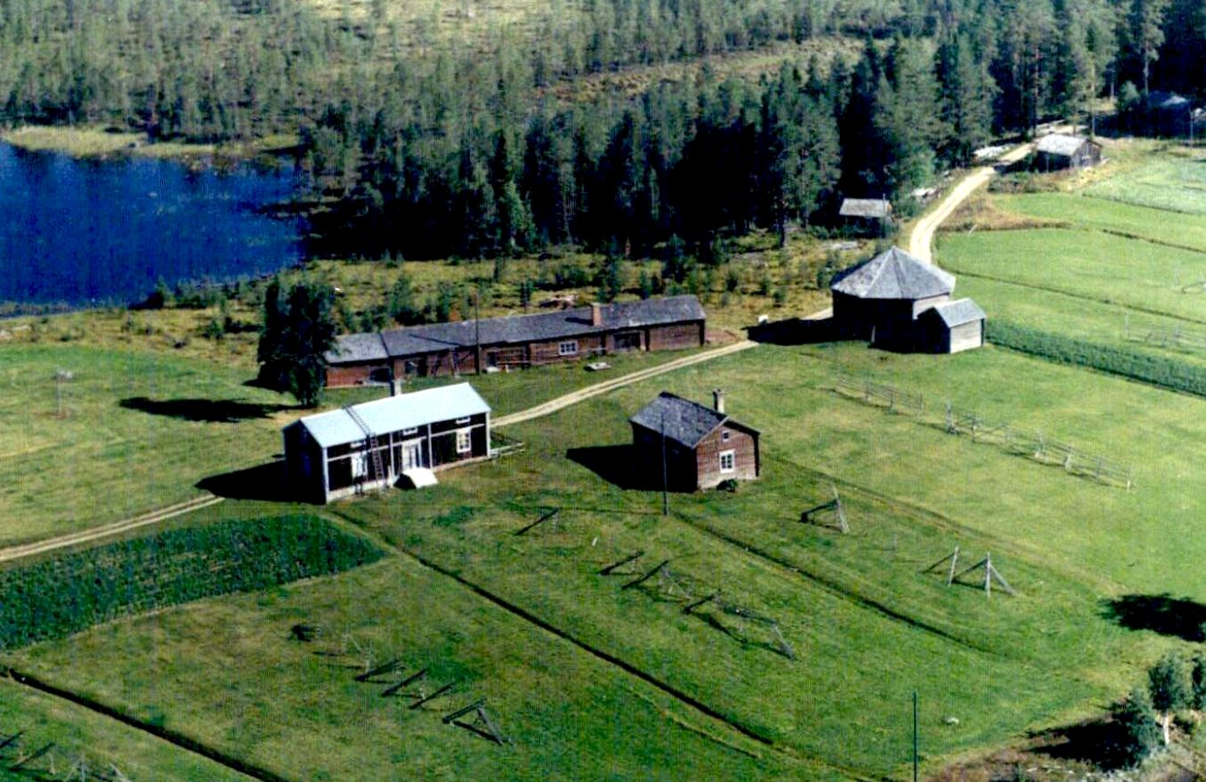 Trehörningen från luften